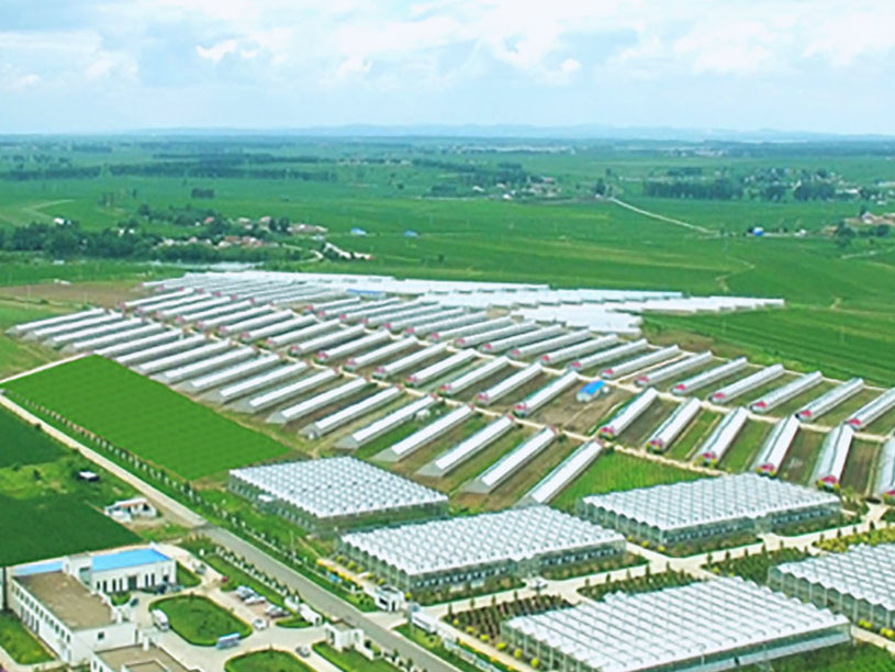 yl6809永利(集团)有限公司官网