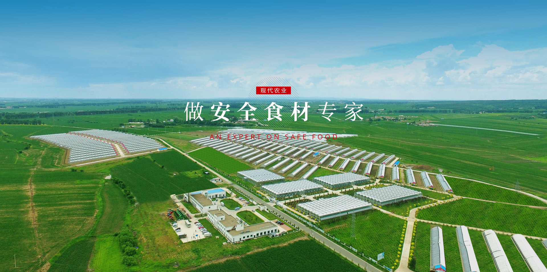 yl6809永利(集团)有限公司官网