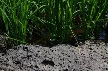 yl6809永利(集团)有限公司官网