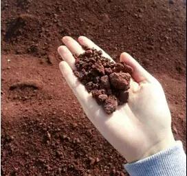 yl6809永利(集团)有限公司官网