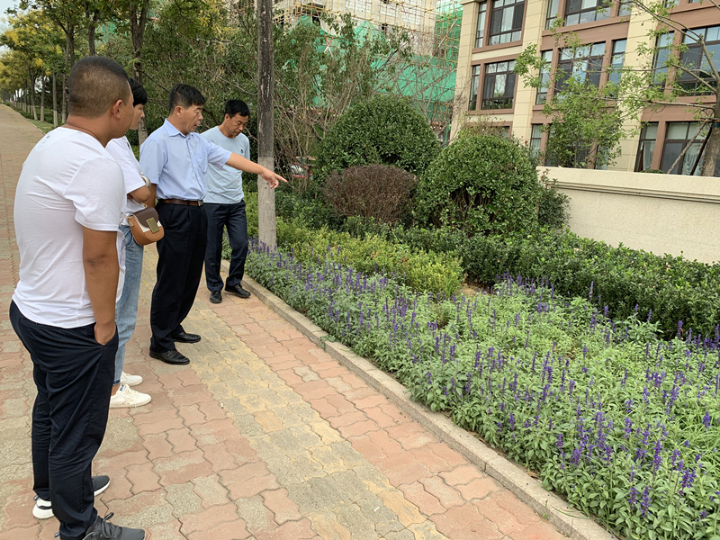 20.园林公司赴威海？？？？？？？疾煲计纺仙较钅.jpg