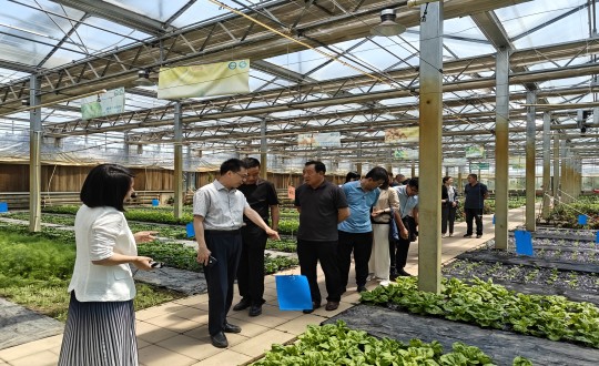 2024年6月27日，，，，，，，，中国绿色食物生长中心相关向导莅临农业总公司考察调研_副本.jpg